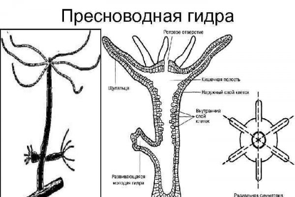 Kraken актуальные зеркала krakentor site