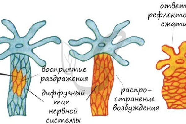 Ссылка на kraken торговая площадка