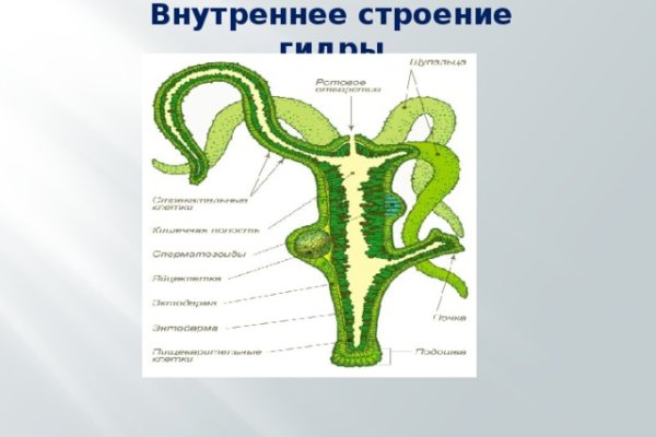 Кракен бошки